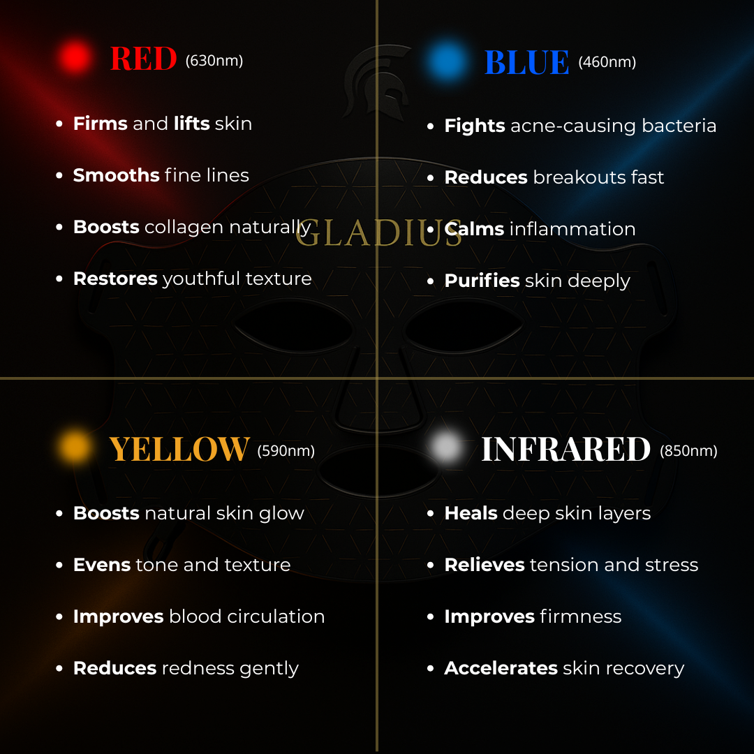 GLADIUS SYSTEM